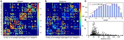 Frequency-Resolved Functional Connectivity: Role of Delay and the Strength of Connections